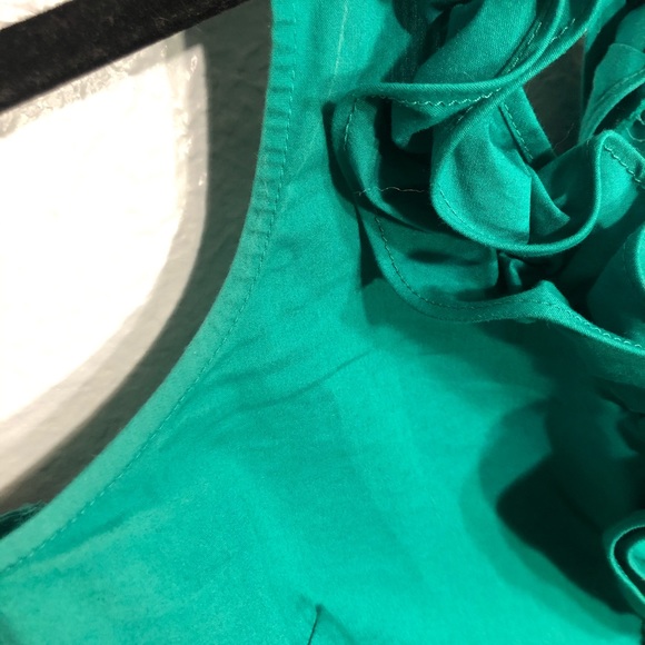 The Limited Ruffled Halter Top - Picture 6 of 7